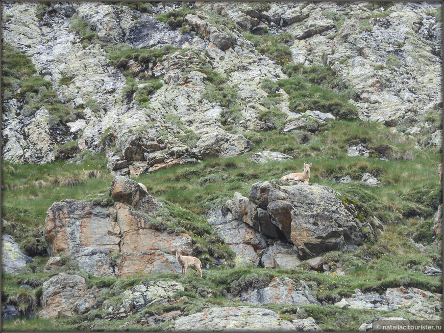 Уллу-Тау — «Священная гора» и высокогорный альплагерь в Приэльбрусье