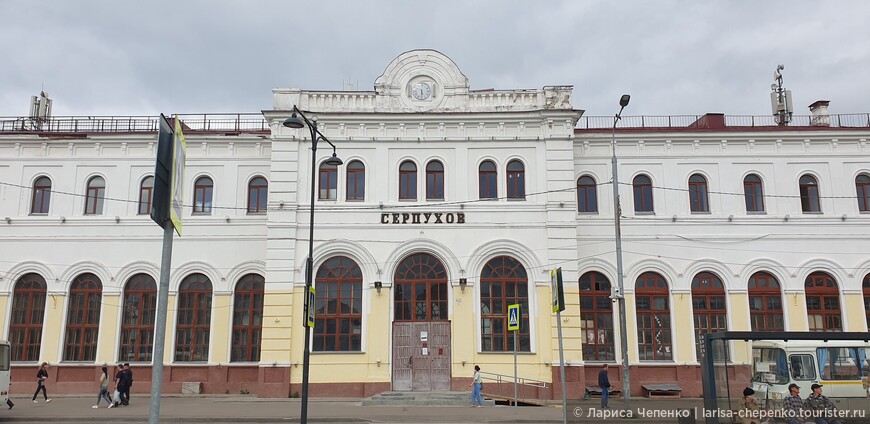 Почему павлина в Серпухове называют русский покемон?