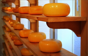 В Подмосковье пройдёт сырный фестиваль «Сыр! Пир! Мир!»