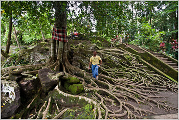 С Бали депортируют туристку из РФ за фото в обнажённом виде у священного дерева