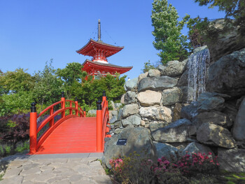 В Краснодаре появился Японский сад