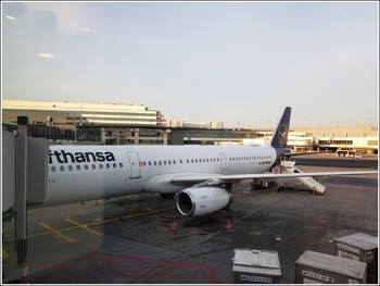 Ни один самолёт Lufthansa не может вылететь из-за глобального сбоя 