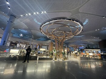 В аэропорту Стамбула задержаны туристы из России с 1200 шкурками соболя 
