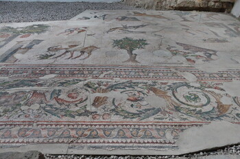 В Сирии нашли уникальную огромную древнеримскую мозаику