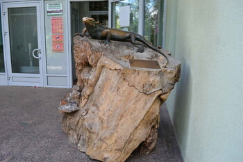Акантозавра украли из Ленинградского зоопарка
