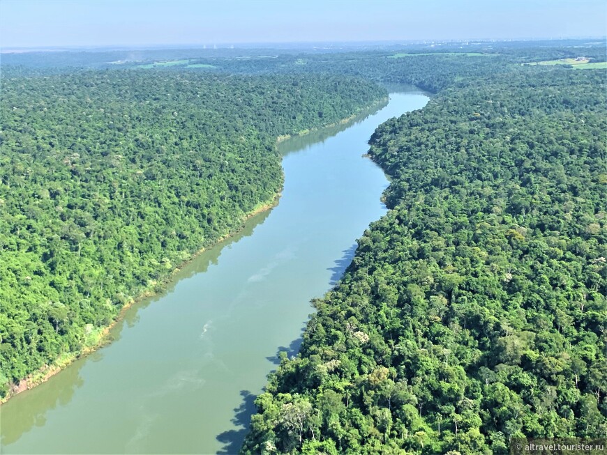 Сквозь джунгли вьется лента реки Игуасу. Здесь она выглядит мирной: до водопадов дело еще не дошло.