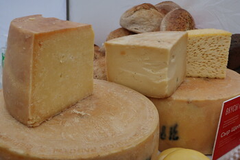 Фестиваль сыра проведут в Алтайском крае
