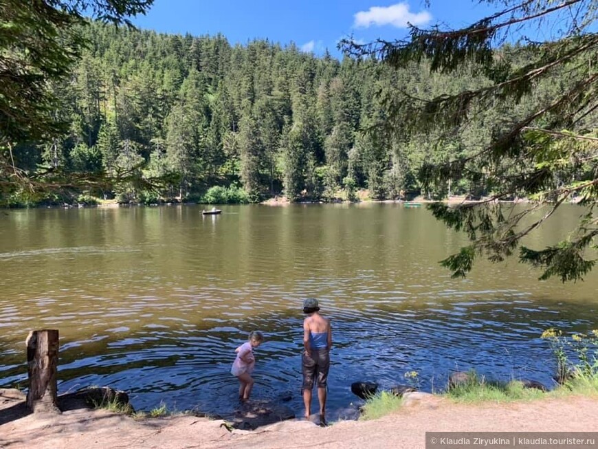 Родина водяных и русалок - Муммельзее.