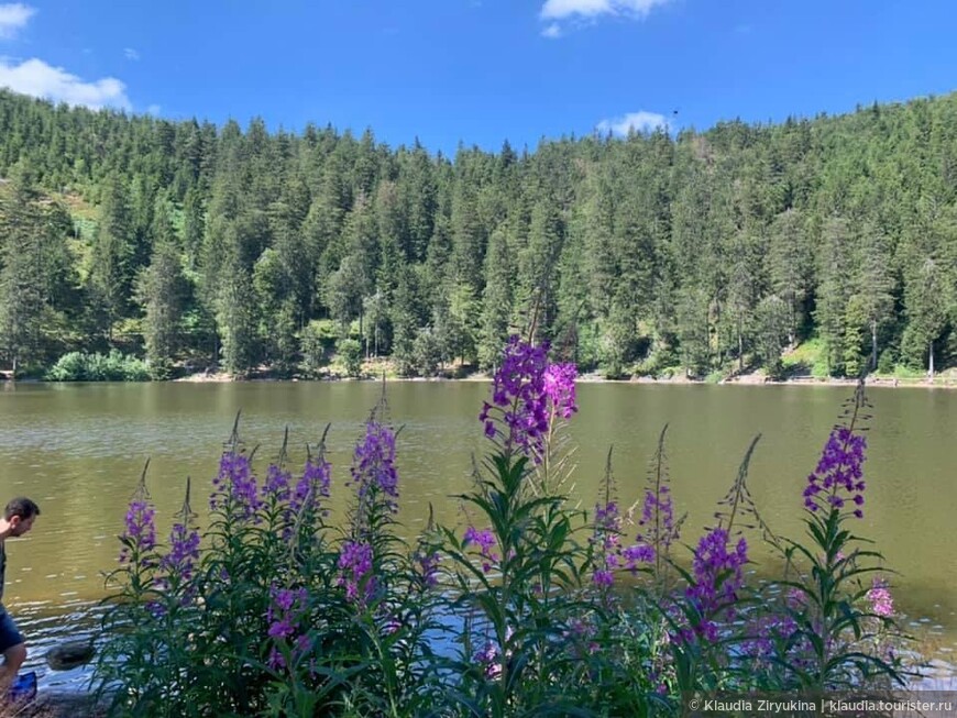 Родина водяных и русалок - Муммельзее.