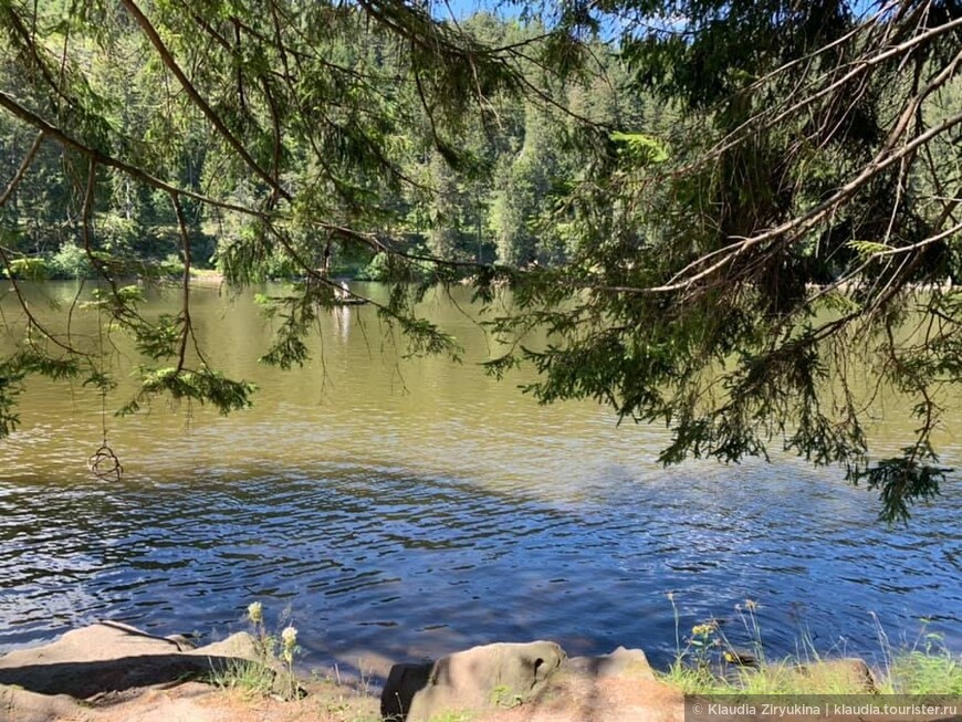 Родина водяных и русалок - Муммельзее.