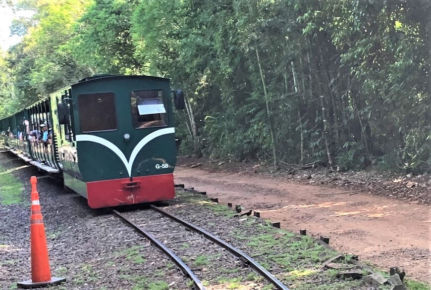 Вот такие поезда ходят по аргентинскому парку.
