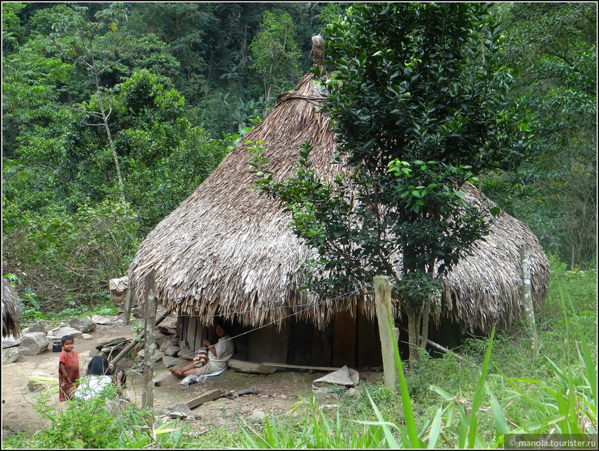 Племя, затерянное в джунглях Колумбии 