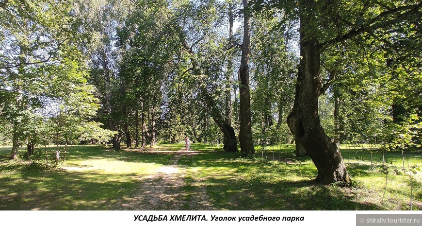 Рассказ о посещении усадьбы Грибоедовых в селе Хмелита Смоленской области