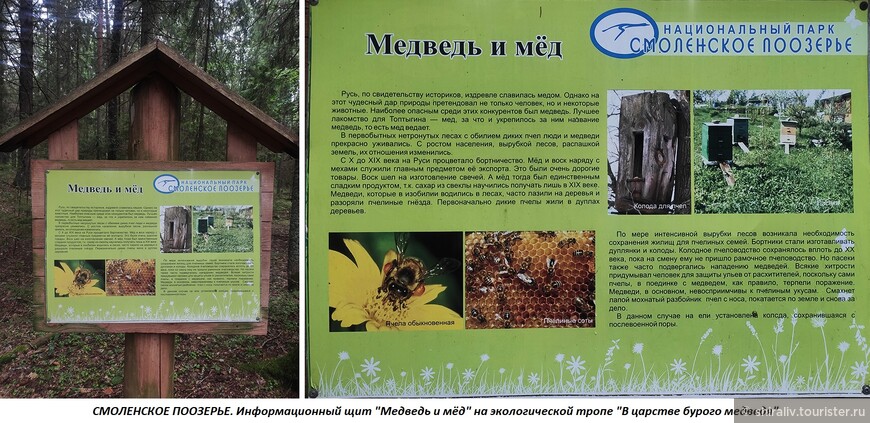 Поездки в поселок Пржевальское Смоленской области — центр Национального парка «Смоленское Поозерье»
