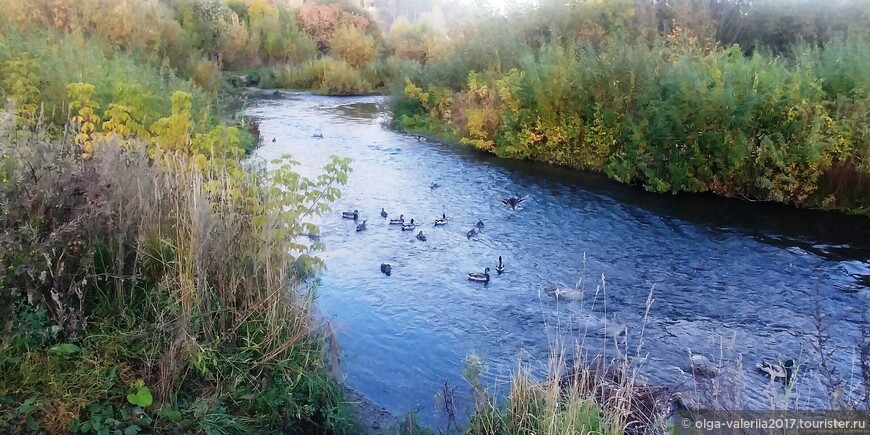 Река Ушайка в районе Степановка.
