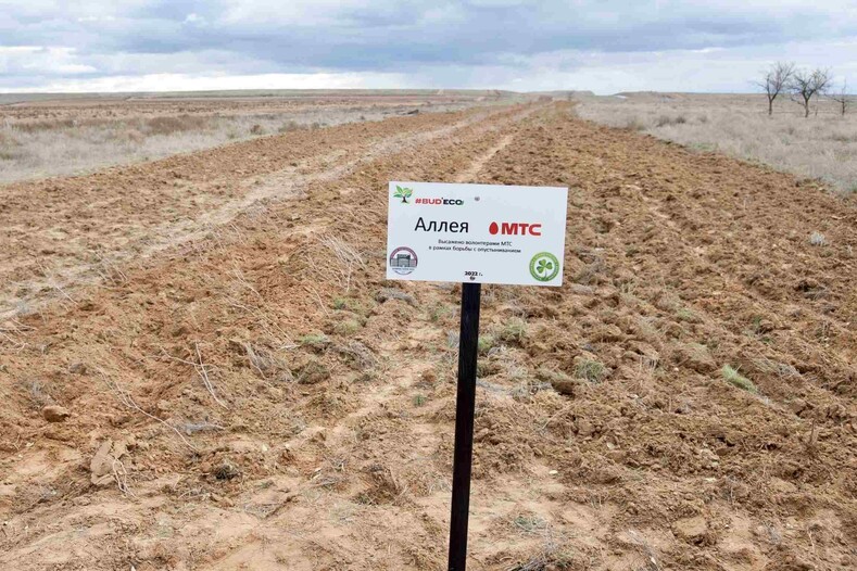 МТС запускает комплексный проект по борьбе с опустыниванием
