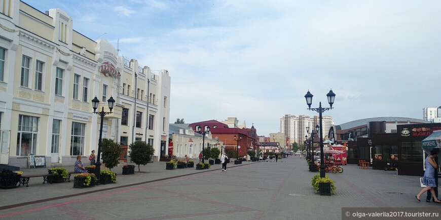 Пешеходная улица Малотобольская