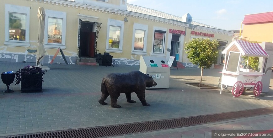 Медведи  ходят в Сибири по улицам, это правда.