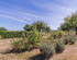 Holiday Home La Haie
