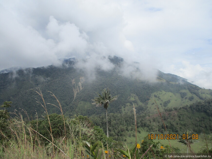 Центральная Кордильера — Кахамарка, Точе, и вулкан Мачин