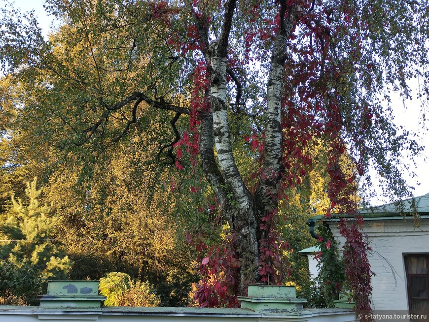 Деревья уже начинают окрашиваться в осенние цвета.