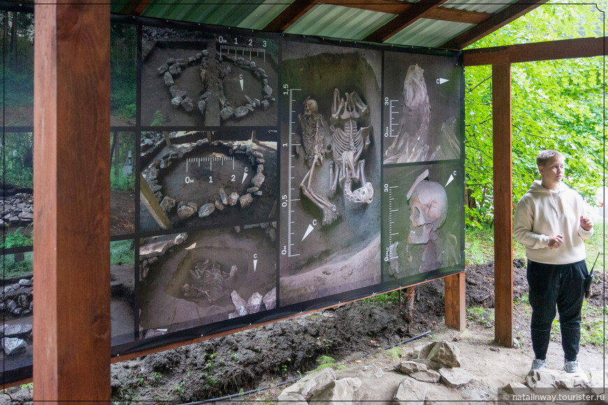 Раскопанное у Большой Тавдинской пещеры раннесредневековое погребение подростка с конем