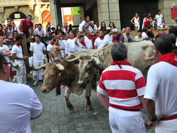 На фестивале в Испании бык рогами проткнул мужчину 