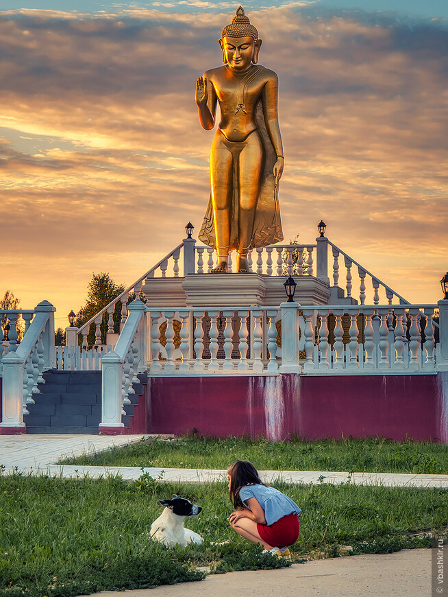 Будда благословляет девочку с собачкой. 