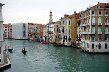 В каналах Венеции заметили дельфинов (ВИДЕО)
