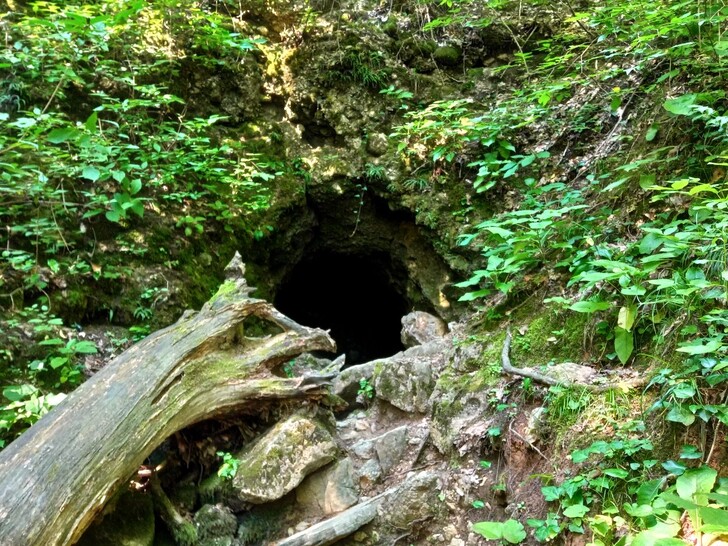 Вход в Большую Фанагорийскую пещеру