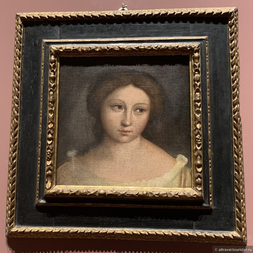 Гарофало. Женский портрет. 1505. Эту раннюю работу Гарофало трудно назвать невыразительной.