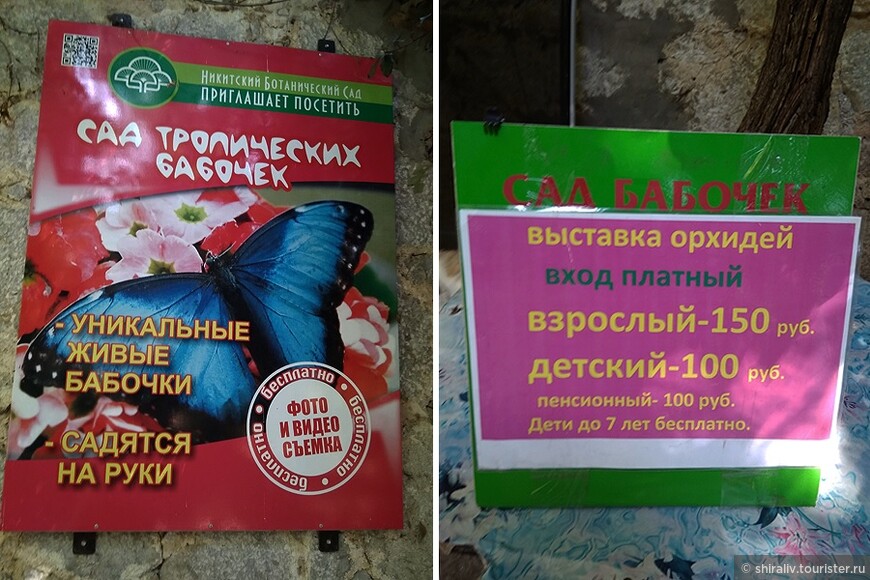Воспоминания о поездке в Никитский ботанический сад в Крыму в июле 2018 года (к 211-й годовщине со дня закладки сада)