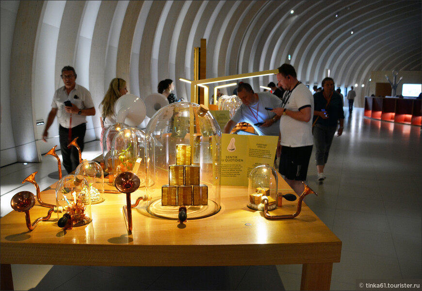 Музей «Город вина» — культура и душа вина