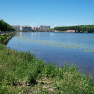 Городской пруд Тернополя