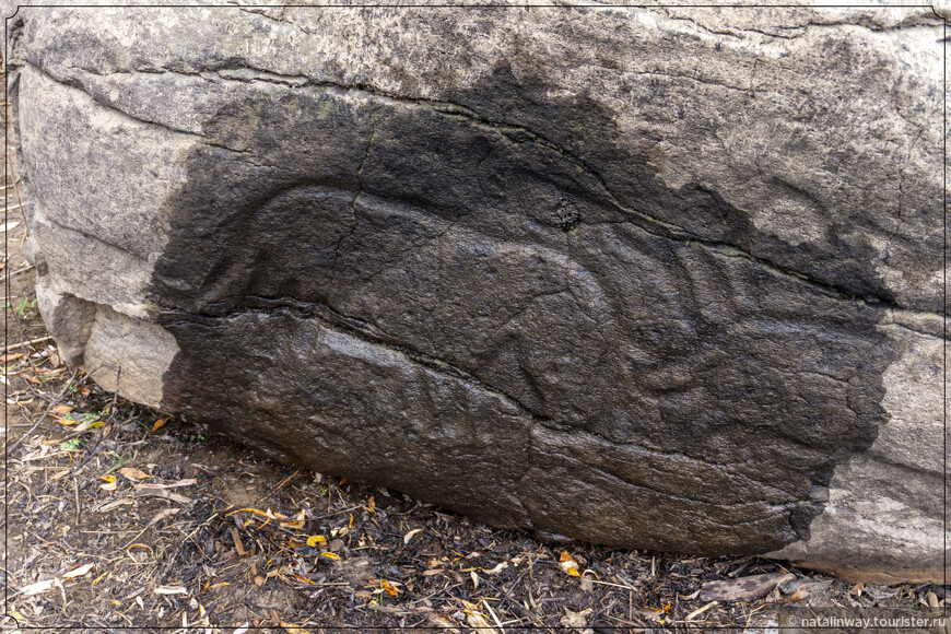 Один из самых древнейших петроглифов Сикачи-Аляна – три бредущих фигуры не то лосей, не то быков, не то лошадей.