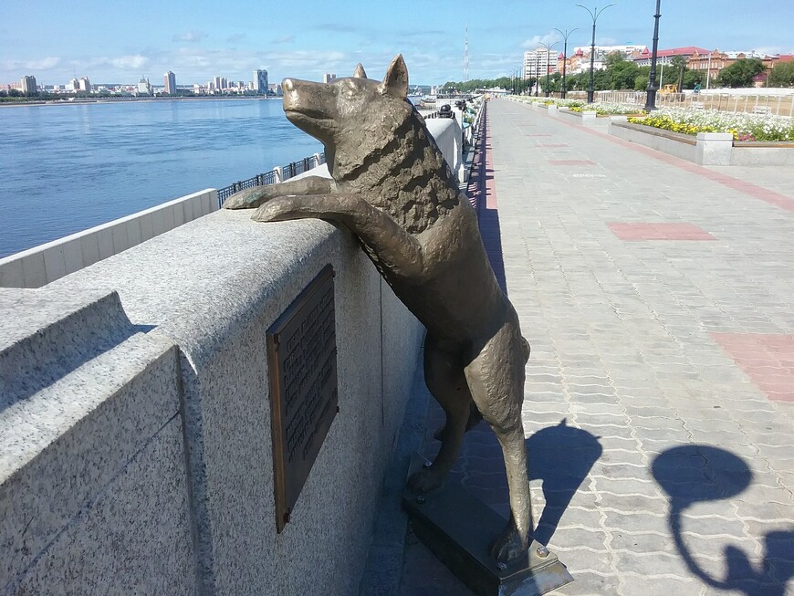 Памятник собаке по кличке Дружок