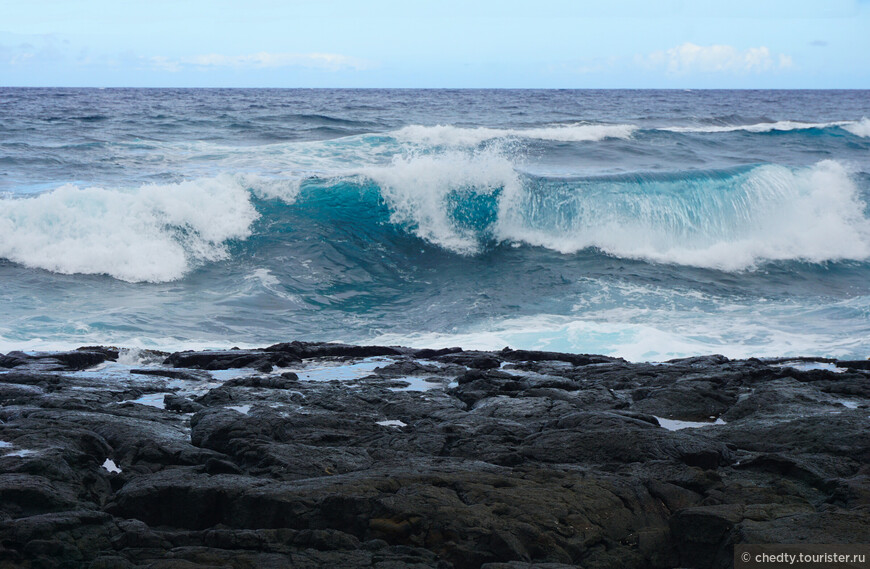 На Гавайях волны прозрачные, внутри них видно, рыб и черепах.