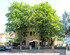 Gasthof Grüner Baum