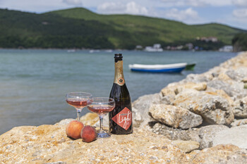 В Крыму пройдут дни открытых дверей на винодельнях