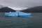 Некоторые из плывущих айсбергов были изумительного голубого цвета.