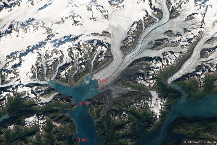 Карта 2. Спутниковый снимок ледника Колумбия. Цифра с номером года соответствует местонахождению края ледника в этом году.