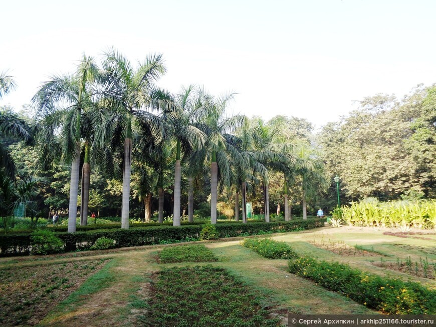 Сады Лоди со средневековыми мавзолеями и мечетями 15 века в центре Дели
