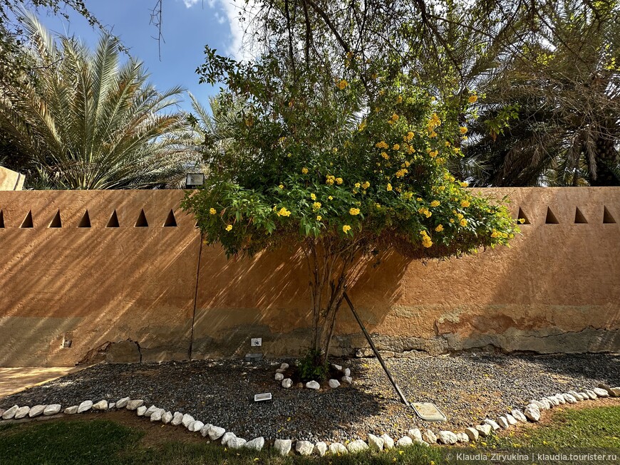 Родовое гнездо абу-дабских шейхов — скромно жили шейхи