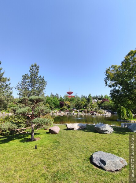 Сбежать от городской суеты, прекрасный Японский сад (Краснодар 2023)