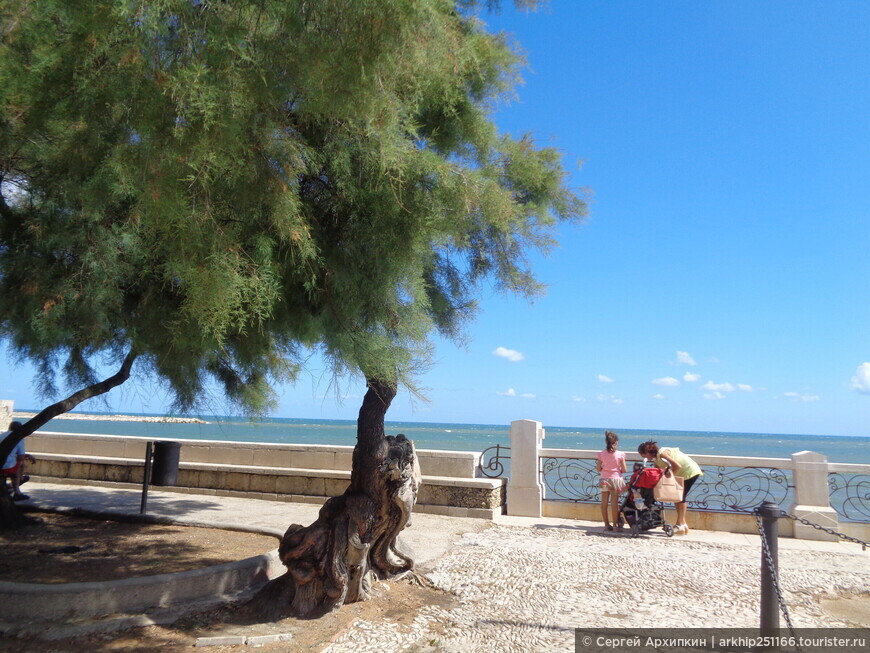 Приморский парк — Вилла Комунале в Трани (Апулия) на берегу Адриатического моря