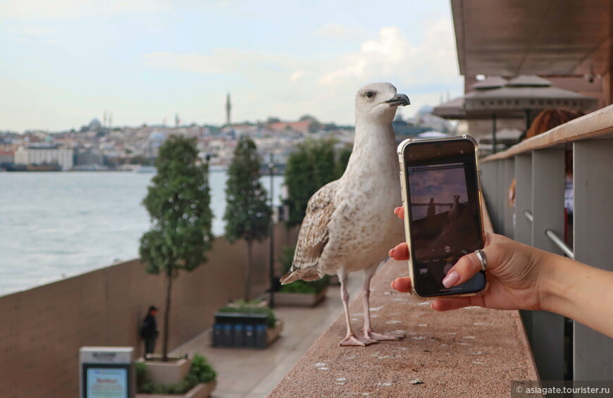 Морской портал в Стамбул  
