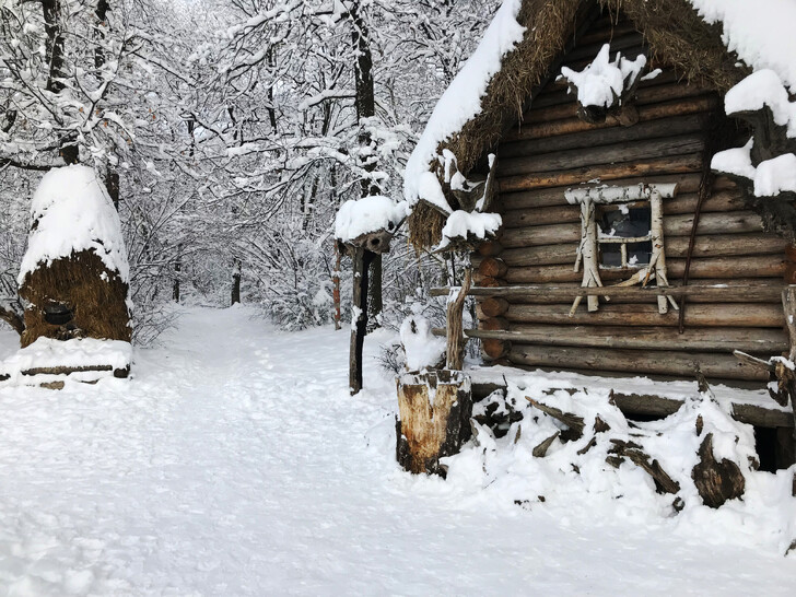 Зима в парке СК «Олимпик»