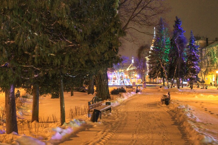 Кольцовский сквер зимой