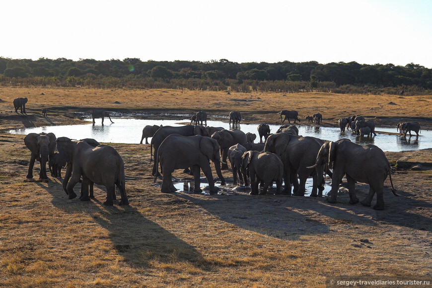 Слоновье царство Зимбабве