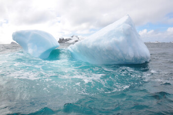Судьба крупнейшего на планете айсберга решится в ближайшее время 